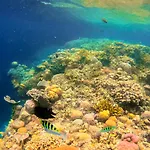 Bobocabin Bunaken Hills, Manado