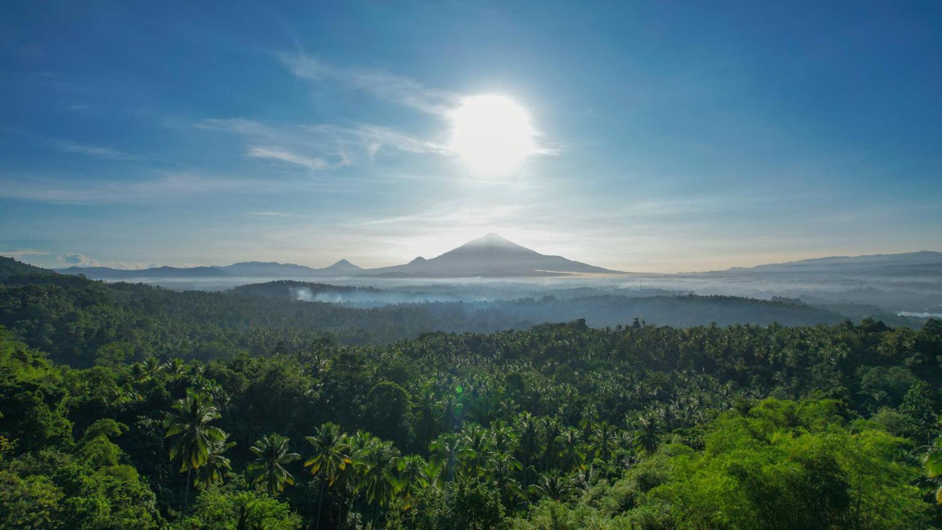 Bobocabin Bunaken Hills,